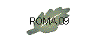 ROMA 09