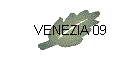 VENEZIA 09